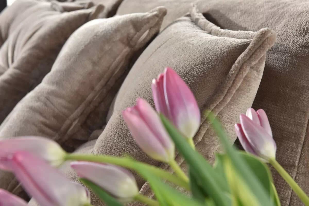 Rozkládací pohovka Sofia Mini - béžová látka Sorriso 5 Pohovka Rozkladací do obývacího pokoje Sofia Mini