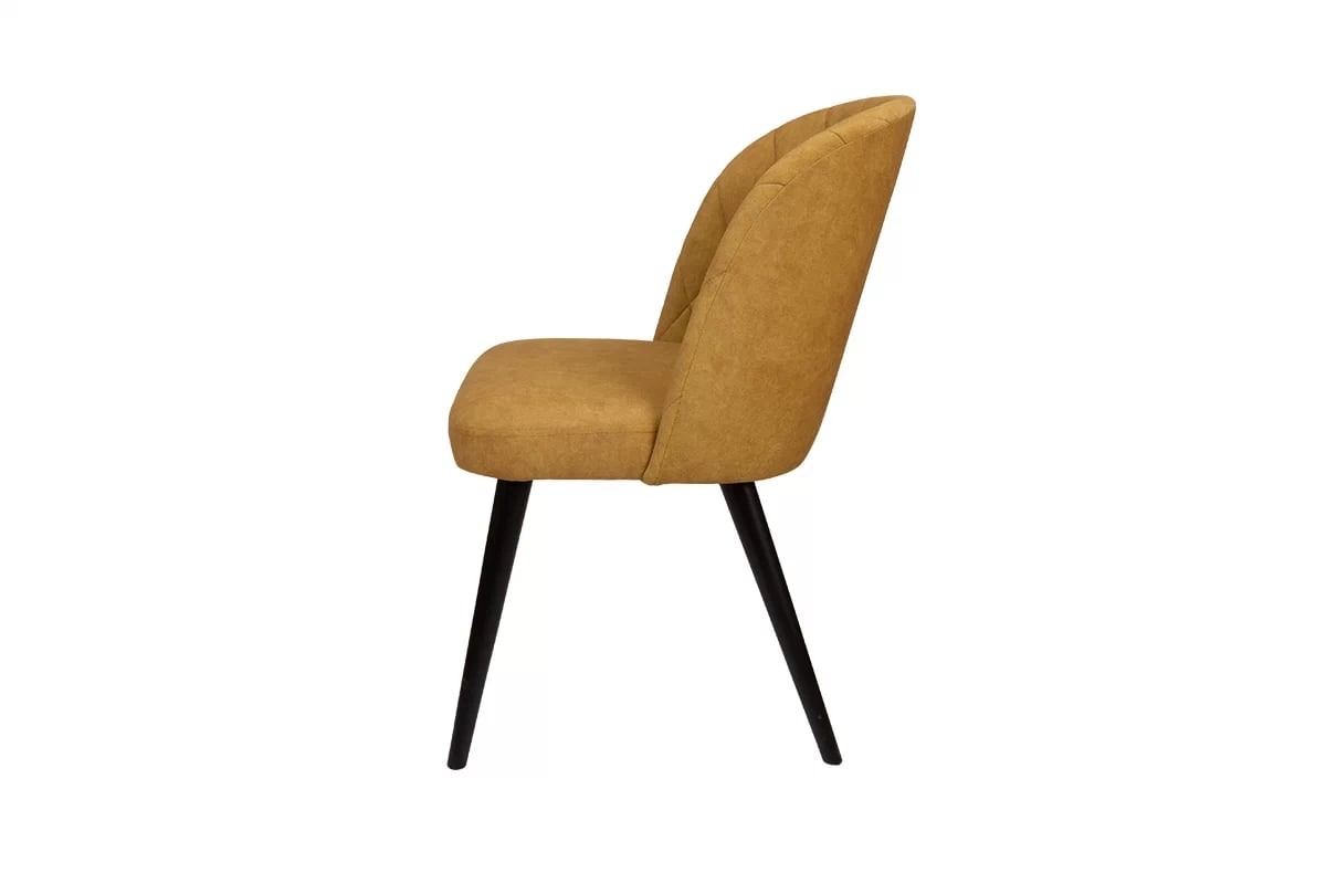 Čalouněná židle Azarro židle pro jídelny