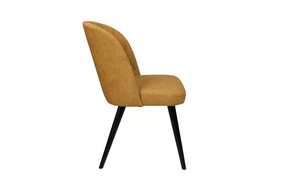 Čalouněná židle Azarro židle pro obývacího pokoje