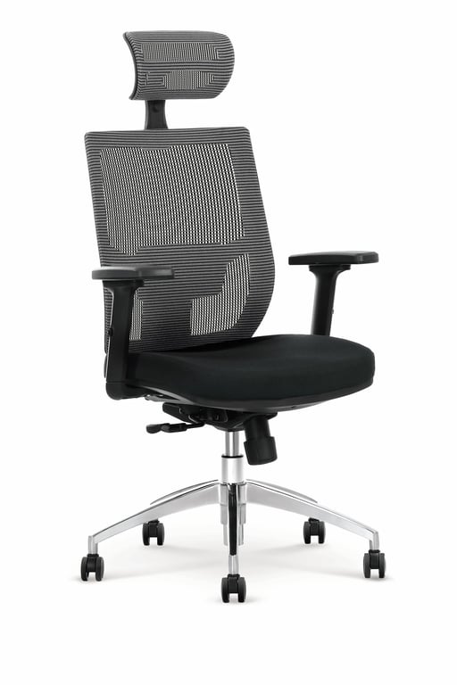 Ergonomické křeslo Delmon s područkami - šedá / černá admiral Křeslo kancelářské Popelavé / Černé