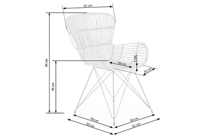 Ratanová židle Niveli - přírodní / černé kovové nohy židle K335 rattan - přírodní - Rozměry