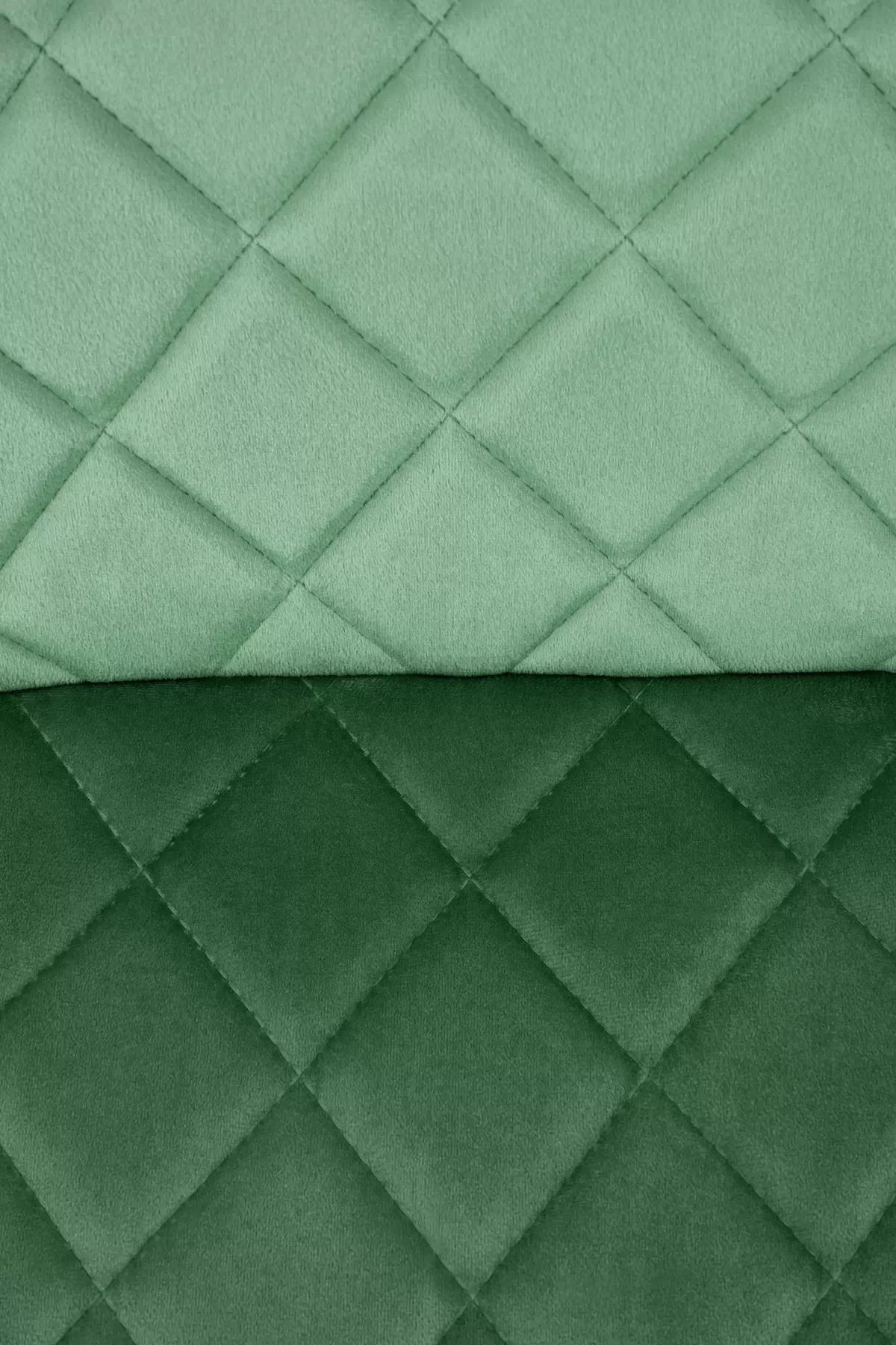 Čalúnená stolička Tasco - tmavozelený zamat / čierne nohy k525 Stolička tmavý Zelený (1p=4szt)