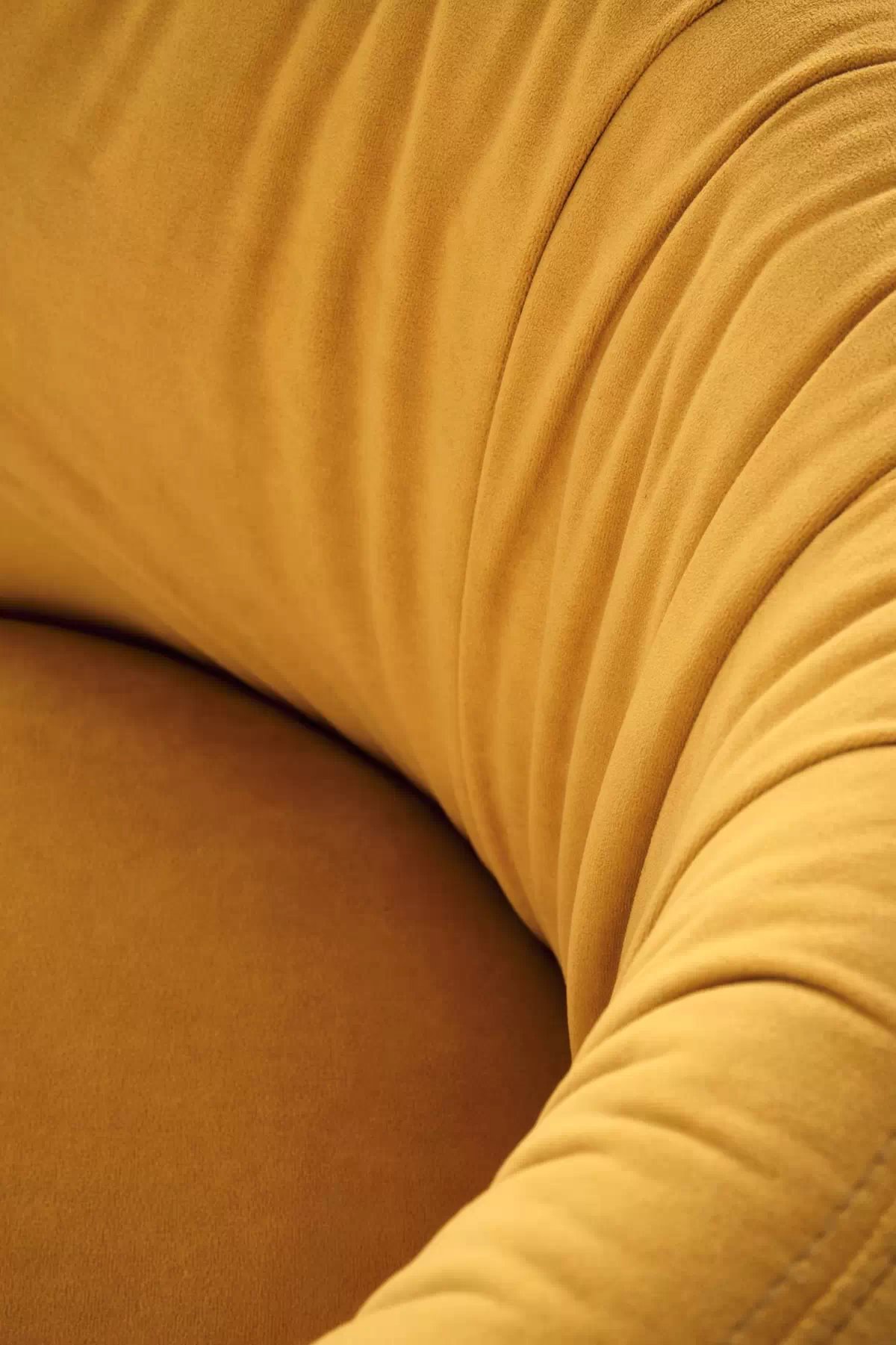 Čalouněná židle K531 - hořčicový samet Mavel 68 / černé nohy k531 židle hořčice