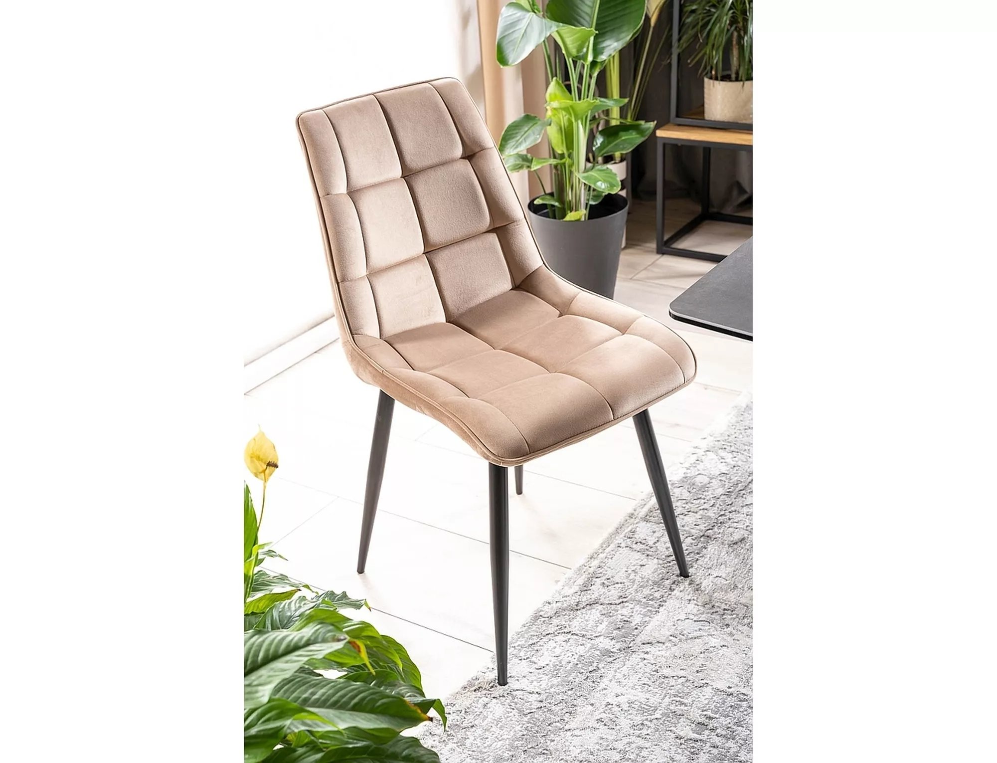 Stolička CHIC VELVET Čierny rám / BEZ BLUVEL 28 Stolička čalouněné chic velvet z metalowymi nogami - Béžová / bluvel 28 / čierny nožičky