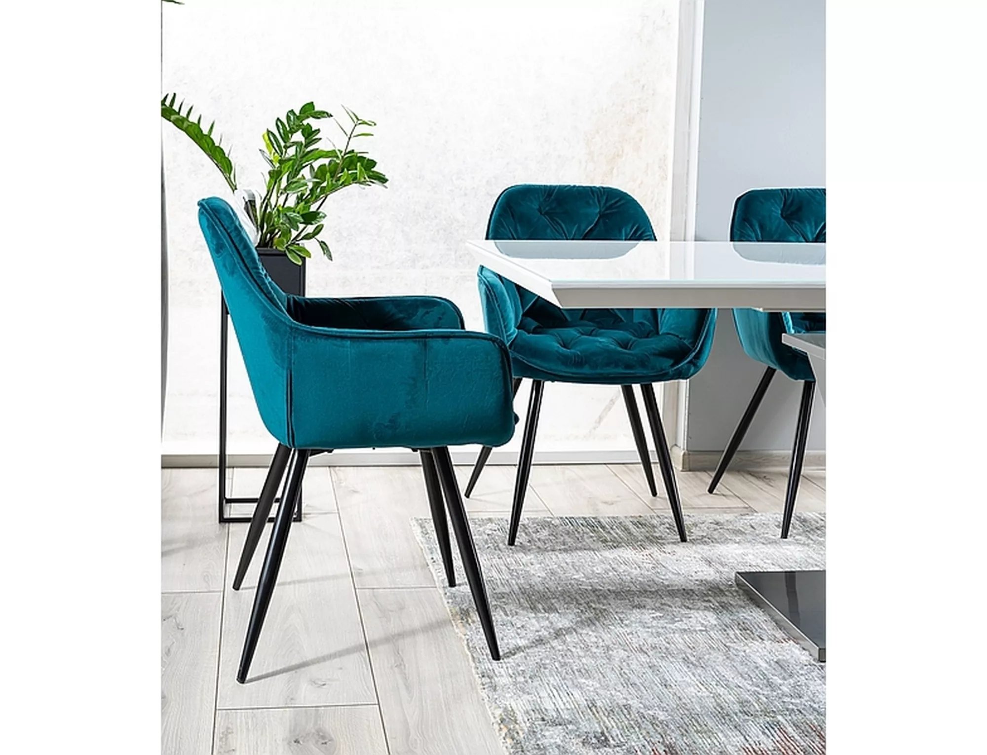 Stolička CHERRY VELVET Čierny rám/Tyrkysová BLUVEL 85 Stolička čalouněné z podlokietnikami cerry velvet - Tyrkysová bluvel 85 / čierny nožičky