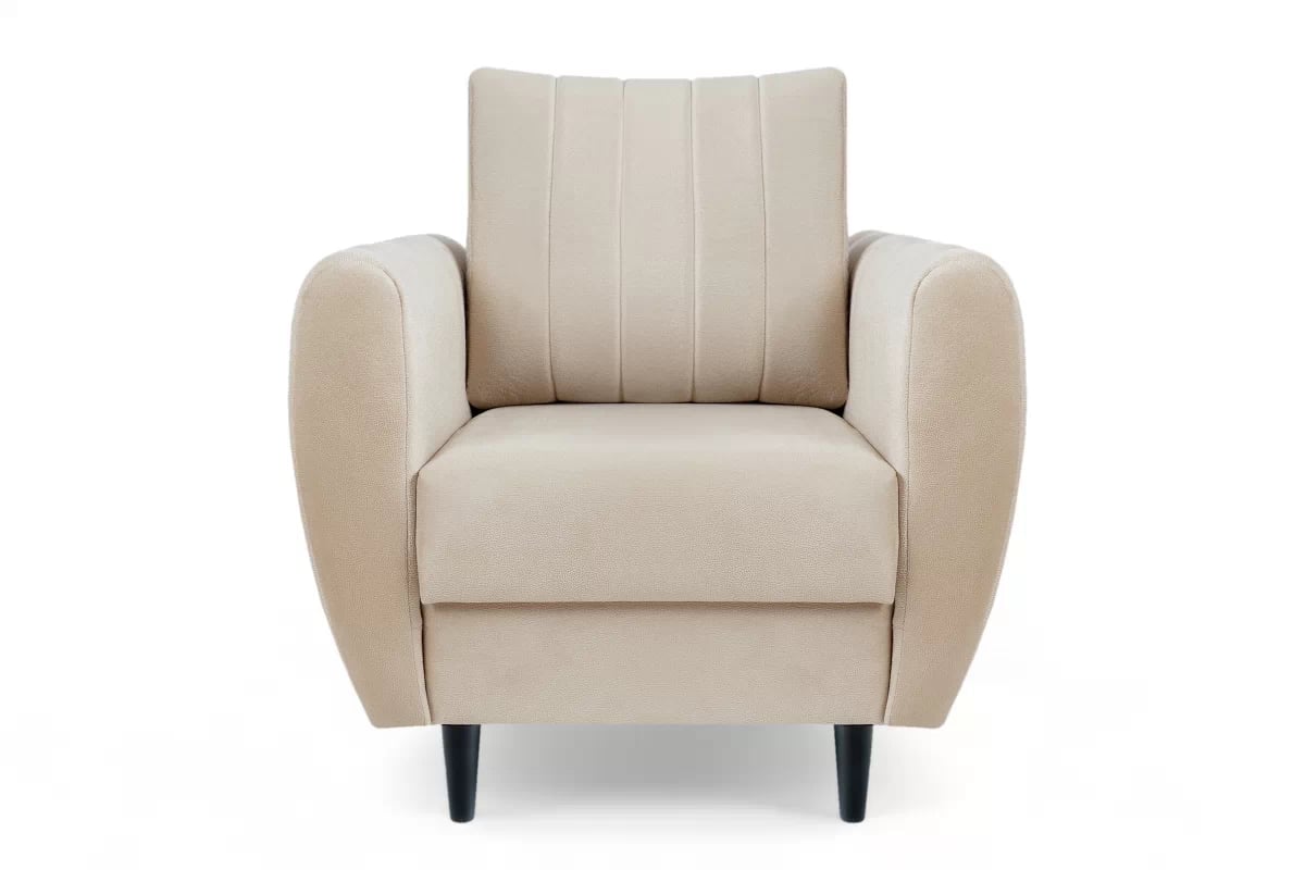 Relaxační křeslo Nefios do obývacího pokoje Křeslo odpočinkové do obývacího pokoje Nefios 