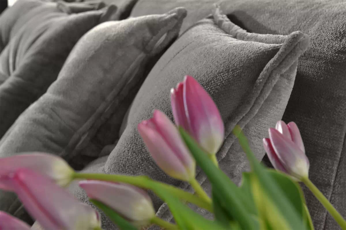 Rozkládací pohovka Sofia Mini - šedý samet Sorriso 3 Pohovka rozkladana do obývacího pokoje Sofia Mini - šedý plusz Sorriso 3