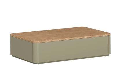 Konferenčný stolík Elivo 100x60 cm so zásuvkami - eukalyptus / dub baltic dune