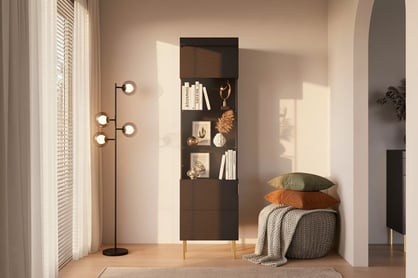 Vitrína Sentia 1D - čierna / zlatá